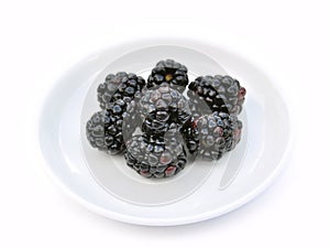 Blackberries on white dish