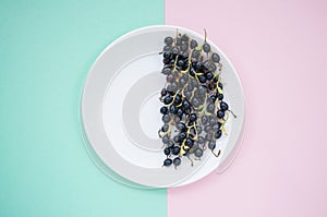 Blackberries on a white plate