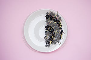 Blackberries on a white plate