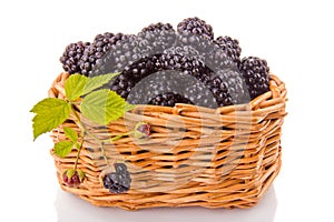 Blackberries in a wicker basket