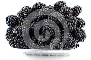 Blackberry