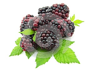 Blackberry