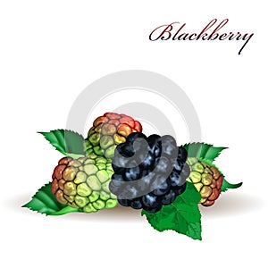 Blackberry