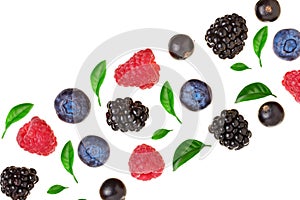 Blackberry blueberry raspberry black currant with leaves isolated on white background with copy space for your text. Top