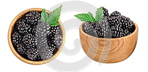 blackberry in bowl with leaf isolated on a white background closeup