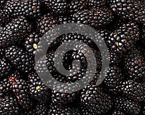 Blackberry close-up, background. The view from top