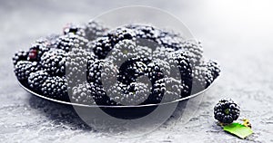 Blackberry close up. Fresh ripe organic blackberries in a bowl closeup on grey