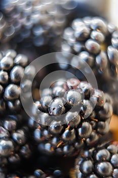 Blackberry close-up. Juicy black berries of a blackberry. Black raspberries. selective focus