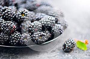 Blackberry closeup. Fresh Ripe organic black berries close-up. Bio Blackberries in a bowl on a table. Summer sweet dessert