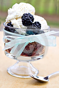 Blackberry cobbler and french vanilla ice cream