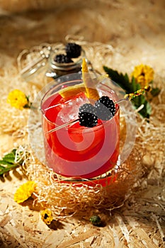 Blackberry Cocktail