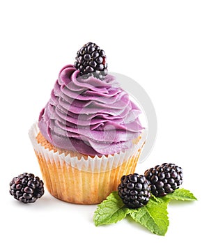 blackberry cupcake with fresh berries isolated on white