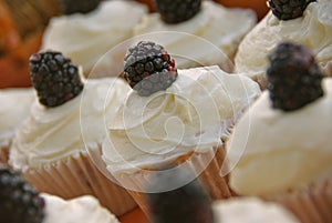 Blackberry Cupcakes