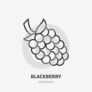 Blackberry flat line icon, forest berry sign, healthy food logo. Illustration of dewberry, bramble for natural food photo
