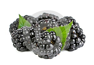 Blackberry fruit