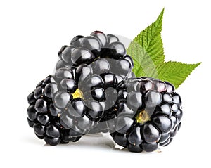 Blackberry fruit