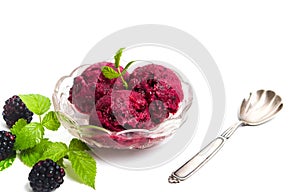 Blackberry fruit ice cream in a cup isolated