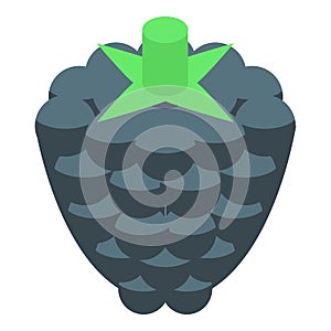 Blackberry fruit icon, isometric style