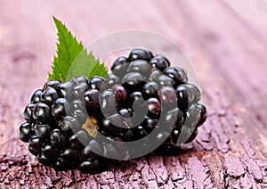 Blackberry fruit with leaf