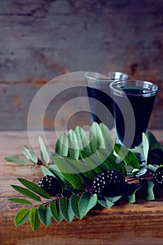 Blackberry fruit liqueur in two shot glasses with berries and gr