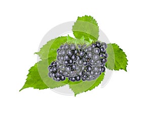 Blackberry With Green Leaves