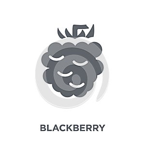 Blackberry icon from Fruit and vegetables collection.