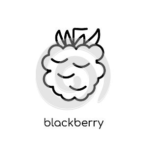 Blackberry icon from Fruit and vegetables collection.