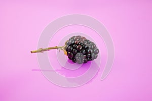Blackberry isolated on purple