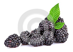 Blackberry isolated on white photo