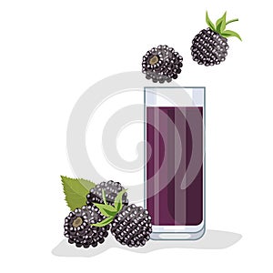 Blackberry juice in a glass, next to blackberries. White background, isolate. Vector illustration