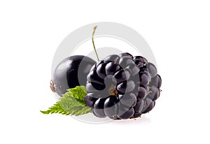 Blackberry with leaf and black currant on White Background
