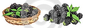 blackberry with leaf in in a wicker basket isolated on a white background closeup.