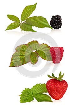 Blackberry, Rasberry and Strawberry