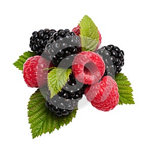 Blackberry and raspberry