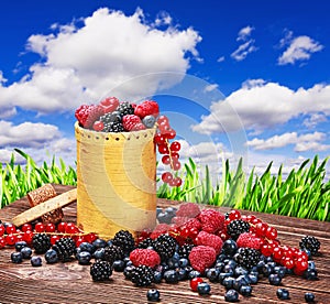 Blackberry, raspberry, red currant on the table