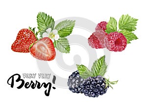 Blackberry, raspberry, strawberry watercolor illustration hand draw illustration photo