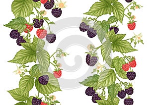 Blackberry. Ripe berries on branch. Seamless pattern, background.