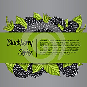 Blackberry series banner with juicy berry