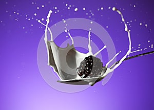 Blackberry Splash