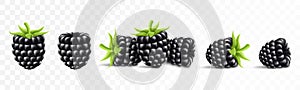 Blackberry. Sweet fruit. Forest berry. 3d vector icons set. Realistic illustration