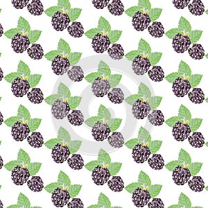 Blackberry Vintage pattern