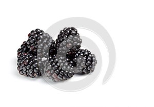 Blackberrys on white