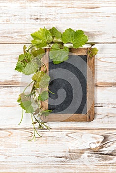 Blackboard green vine leaves decoration