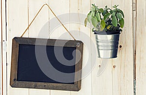Blackboard and pot with plant on wooden surface