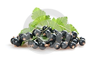 Blackcurrant photo