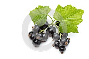 Blackcurrant