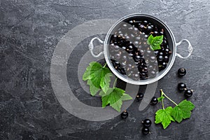 Blackcurrant berries with leaves, black currant