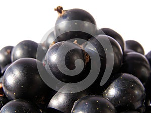 Blackcurrant - black berries close up