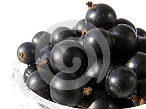 Blackcurrant - black sweet berries