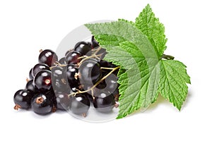 Blackcurrant bunch (Ribes Nigrum), clipping path photo